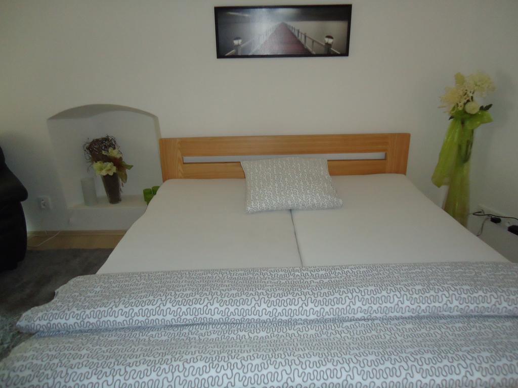 Apartment Pod Kotnovem Tábor Rum bild